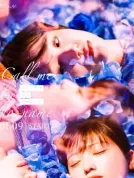 唤我无名 (2025) 【全8集】【日本】【4K WEB HDR】【简繁字幕】【工藤美樱/尾碕真花/中井友望】【爱情/同性】【50.71G】