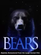 熊 (2004) 【加拿大/美国】【蓝光原盘】【IMAX】【国配中字】【蒂龙·本斯金】【纪录片/短片】【15.17G】