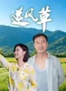 逆风草 (2026)[4K WEB HDR][简繁+双语字幕][2.74G]