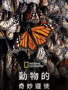 生灵奇旅(2023) [全7集][美国][4K WEB HDR][简繁字幕][杰瑞米·雷纳][纪录片][32.51G]