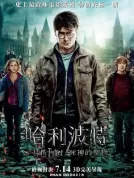 哈利波特 八部合集典藏版【4K蓝光原盘REMUX】【国粤台英四音轨】内封简繁英双语特效字幕[500G]