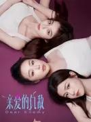 【中国大陆】 亲爱的仇敌 (2025) 【全24集】【高叶/陈妍希/袁弘】【剧情】【4K】