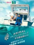 不可思议的动物（2020）[英国][4K WEB][国粤英音轨][双语字幕][记录片][33.15G]