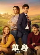 无处单身 (2026)[4K WEB HDR][简繁+双语字幕][14.41G]