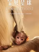 宝贝星球 (2025) [全6集][英国][4K蓝光原盘][简繁+双语字幕][大卫·爱登堡][纪录片][142.7G]