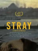 在迷途 (2020) 【美国】【蓝光原盘】【官译简繁字幕】【纪录片】【19.52G】