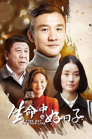 生命中的好日子 (2016) 【全35集】【中国大陆】【4K WEB】【黄志忠/郑昊/吴越】【剧情/爱情/家庭】【214.89G】